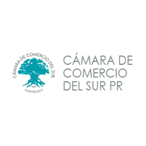 Cámara de comercio del sur